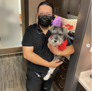 Smile doctors instagram of dog